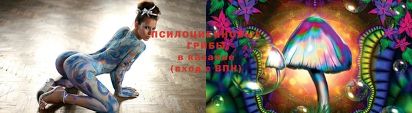 дурь Абдулино
