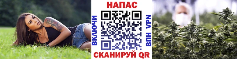 Каннабис LSD WEED  блэк спрут ссылки  Красково  как найти закладки 